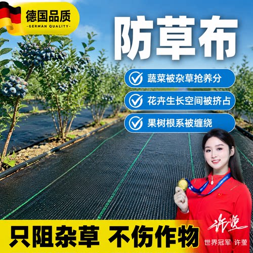 防草布除草布耐用果园果树遮草塑料布透气保湿园艺地膜抗老化地布