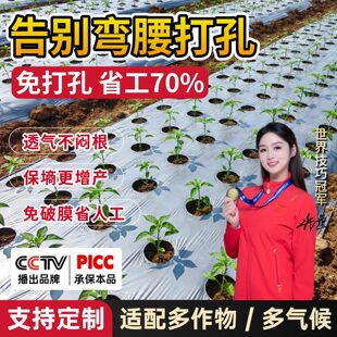 打孔银黑地膜农用种植种菜专用塑料薄膜防草虫双色反光带孔免打孔