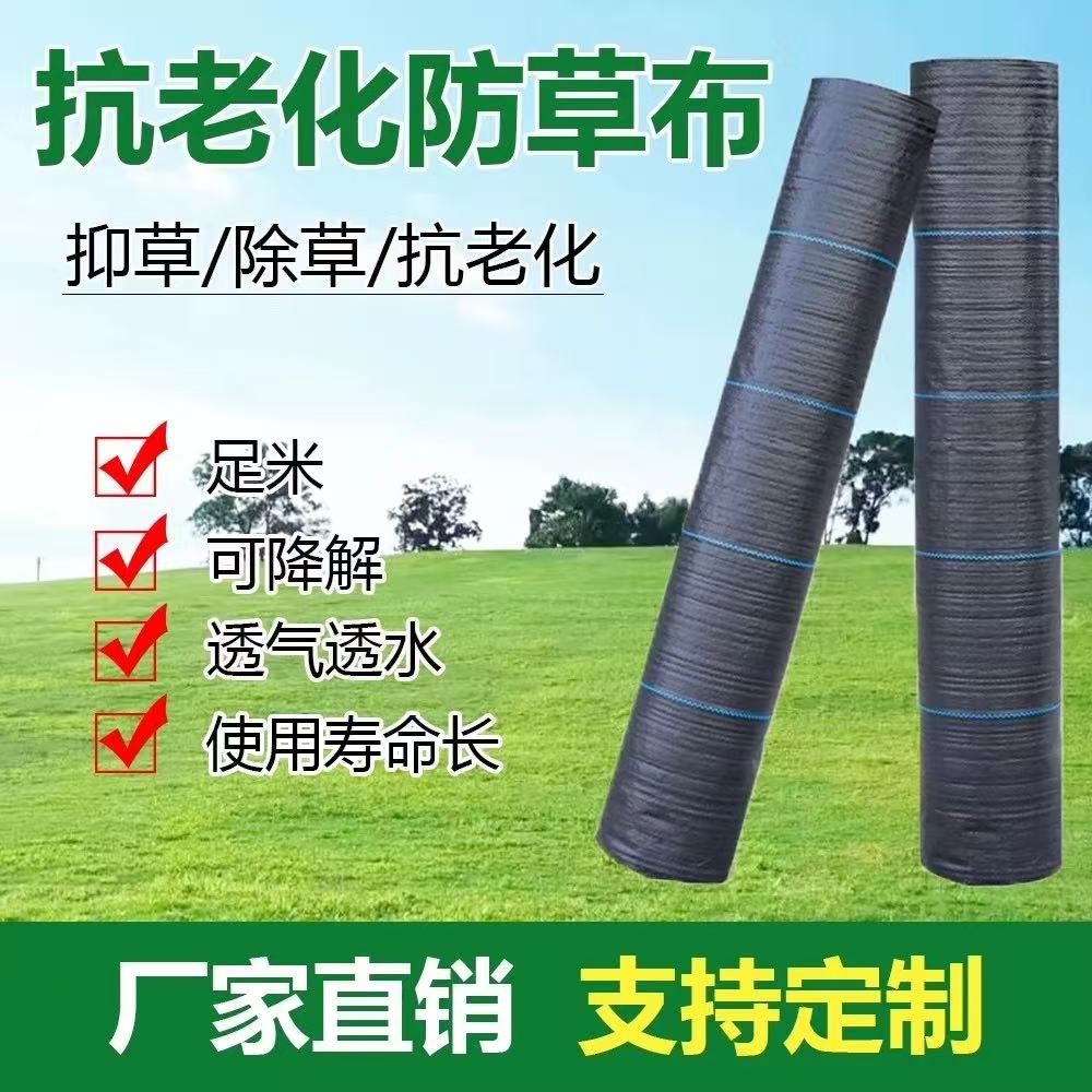 防草布果园专用70克加厚抗
