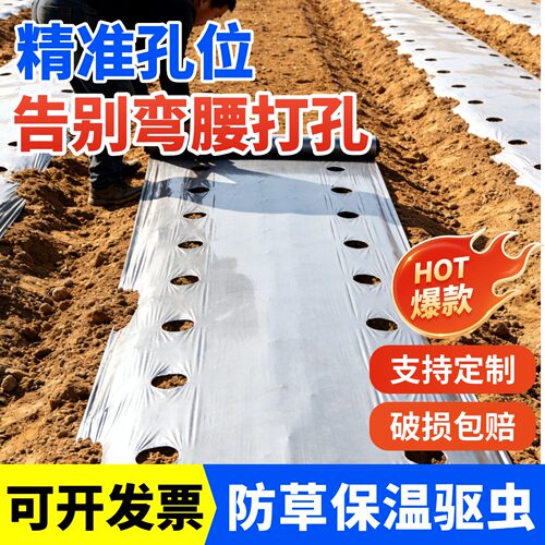 打孔银黑地膜农用种植菜专