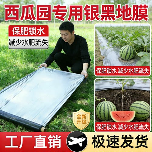 银黑双色地膜打孔带孔农业种植膜