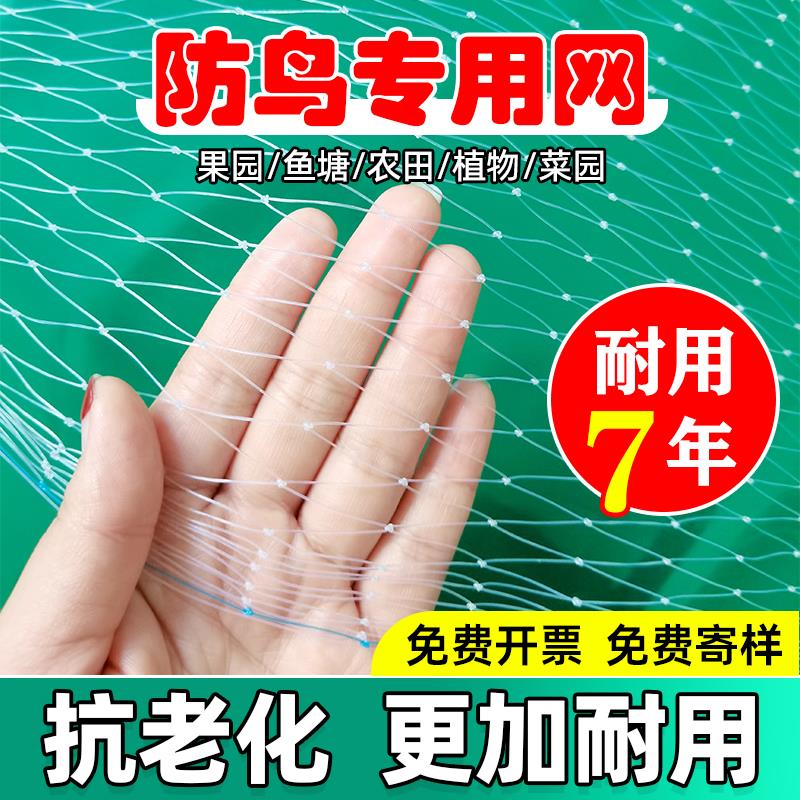 防鸟网果树园大棚尼龙线防鸟网