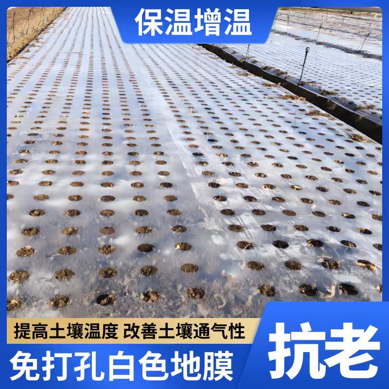 打孔地膜农用种植种菜专用塑料薄膜白地膜保温保湿种辣椒大蒜玉米
