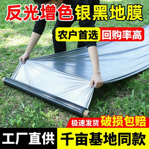 银黑双色地膜打孔带孔农业种植膜