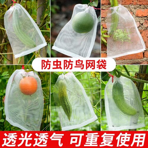 水果套袋葡萄无花果专用防鸟防虫
