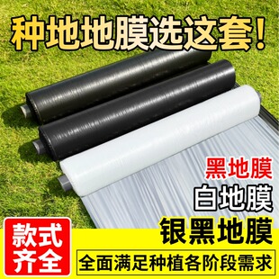 银黑双色地膜农用种植白地膜黑地膜种菜专用加厚除草农业黑膜薄膜