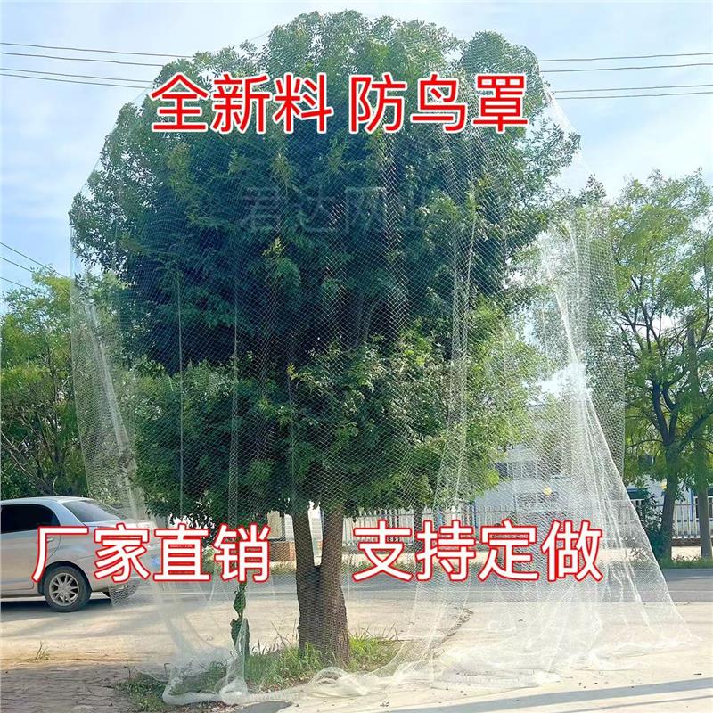 果树防鸟网罩嘉宝樱桃园大
