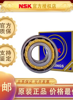 日本NSK进口轴承N313 N314 N315 N316 N317 N318 N319 N320 N321W