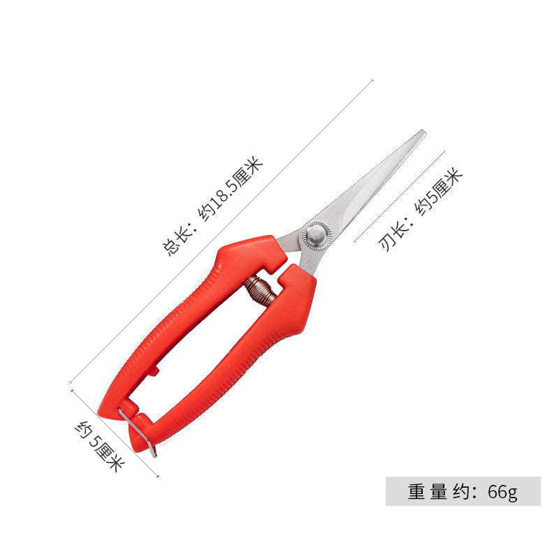 不锈钢采果剪柑橘剪桔子剪刀摘果剪果树剪葡萄蔬果剪水果采摘剪刀