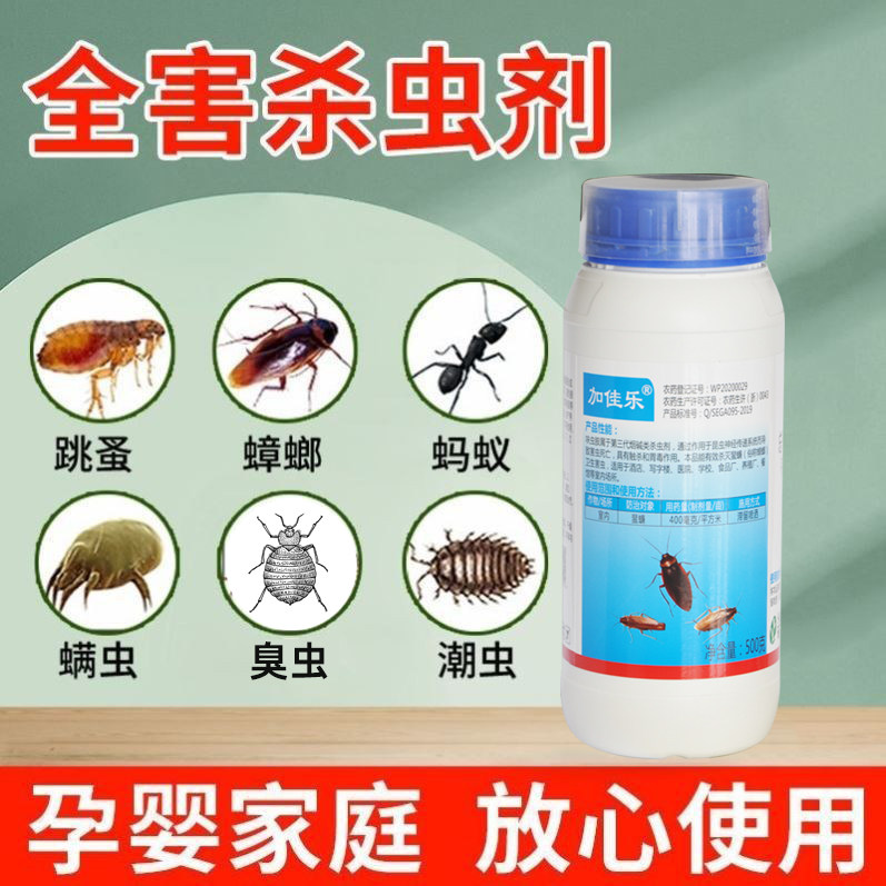 呋虫胺蟑螂药全窝端绝杀非无毒餐厅饭店宿舍家用专用跳蚤蚁蟑螂药