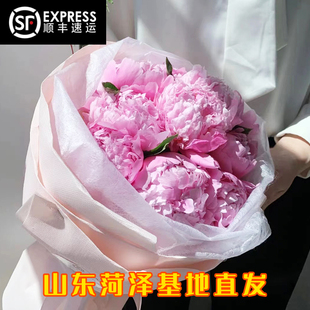 【顺丰包邮】山东重瓣芍药鲜花花束进口落日珊瑚鲜花基地直发