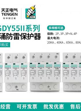 天正电气TGDY55II-20/40KA浪涌电涌保护器2P4P防雷避雷器380V385V