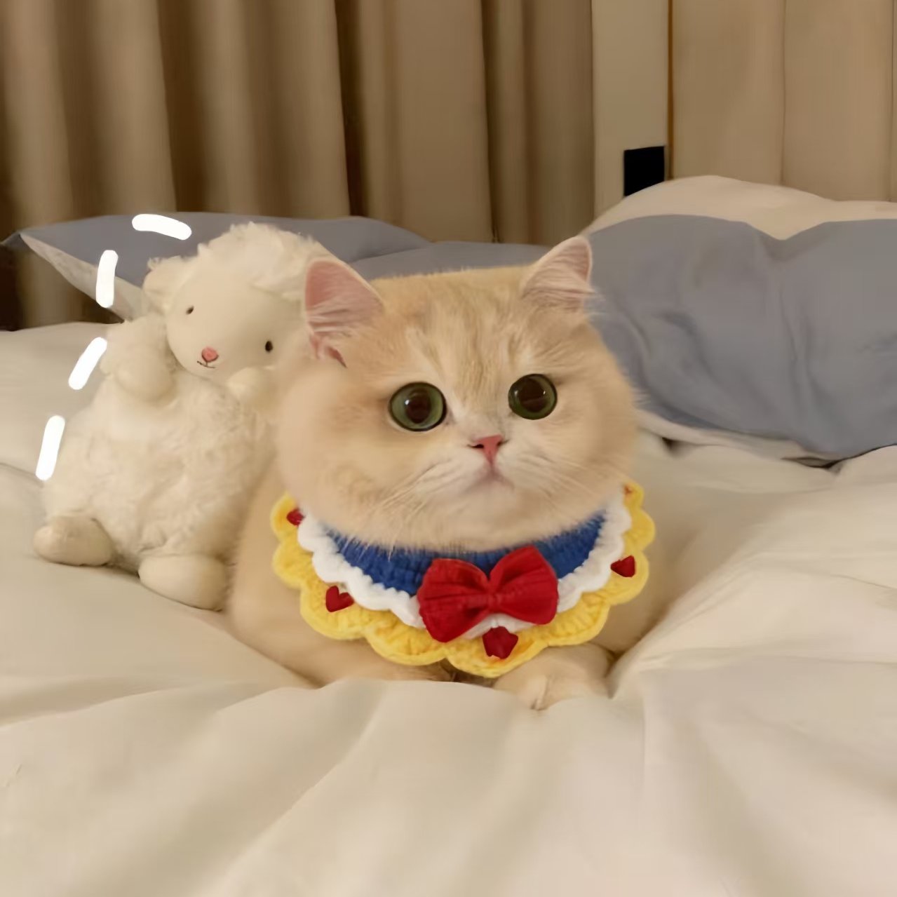 猫咪围脖口水巾宠物小配饰围巾小猫围兜过年装扮编织项圈宠物用品