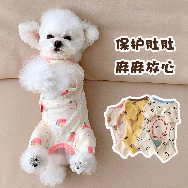 比熊狗狗衣服秋冬款宠物