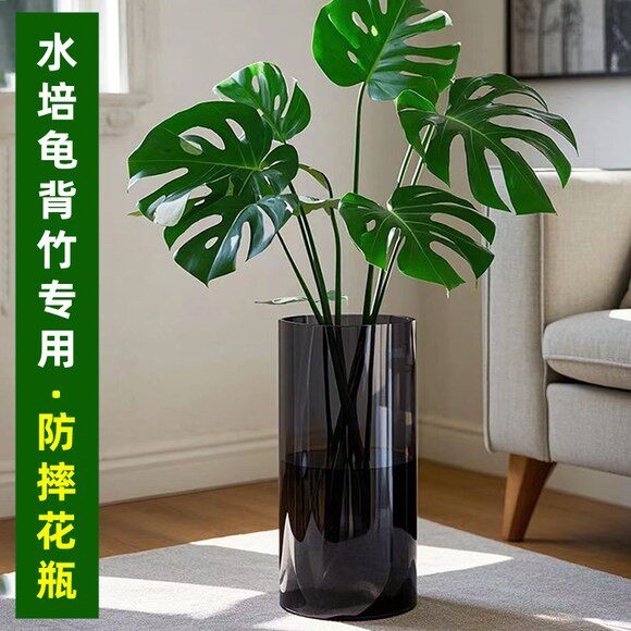 龟背竹花瓶养大号大口径绿植专用水培器皿宽口亚克力塑料防摔花盆