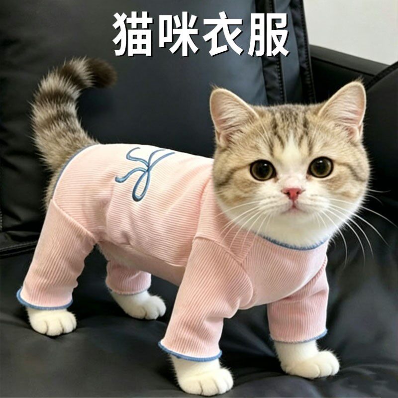卡通熊路由器置物架家用机顶盒放置架电线固定器墙上数据线收纳盒