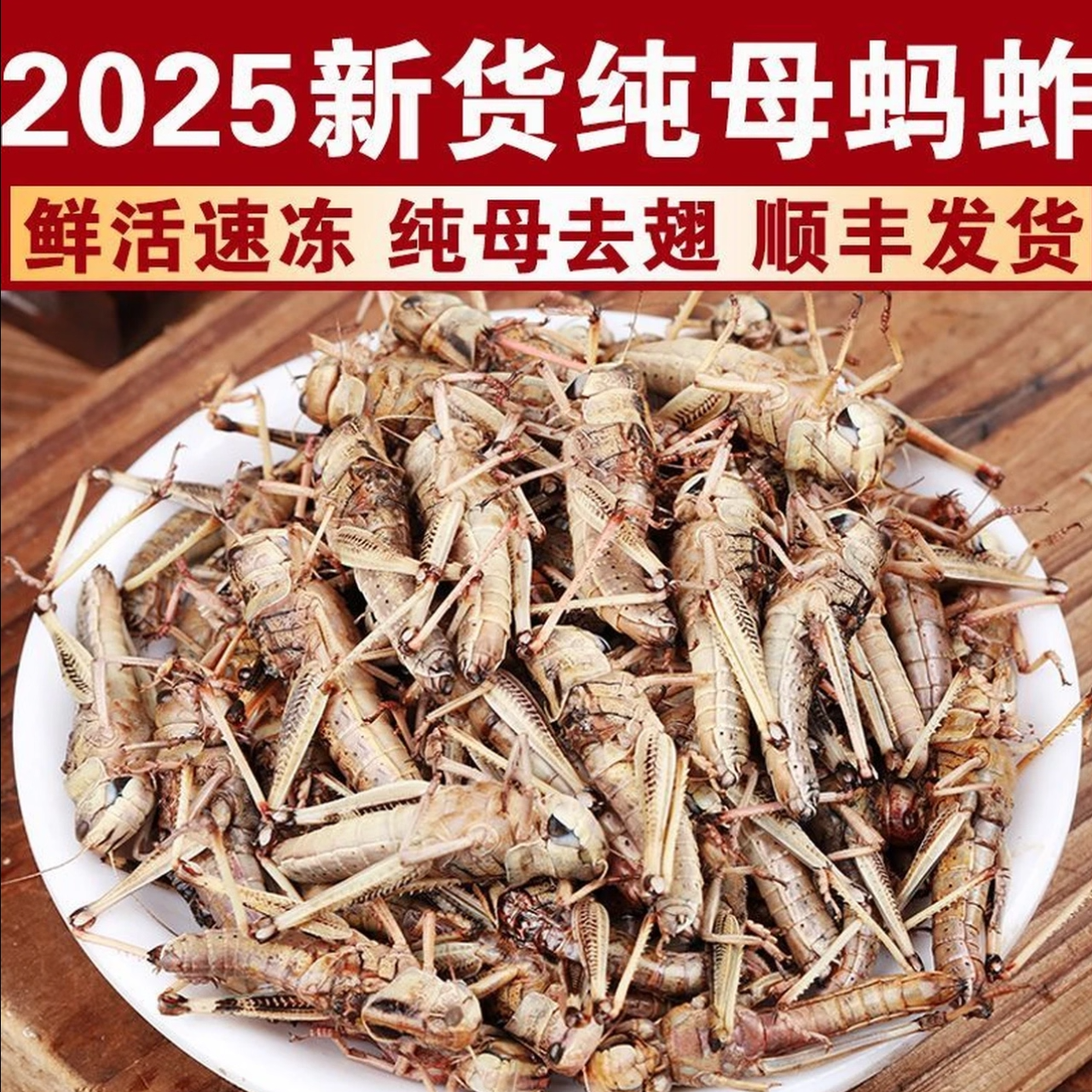 2025新货干冻无冰纯母去翅大蚂蚱