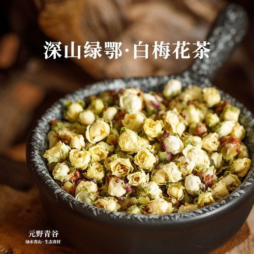 深山绿萼梅白梅花茶自然植补无硫
