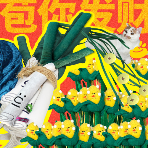 cul大葱逗猫棒幼猫逗猫玩具