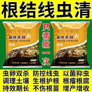 农用根结线虫淡紫紫孢菌根结根瘤杀菌根线灵地下根微生物菌剂