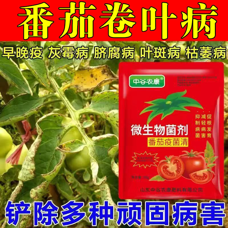 番茄卷叶病专用肥病毒病专用药脐腐病缩叶黄叶落果黑斑灰霉病杀菌