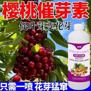 樱桃催芽剂壮芽素催芽王大樱桃点叶芽变花芽肥强力催芽樱桃催芽素