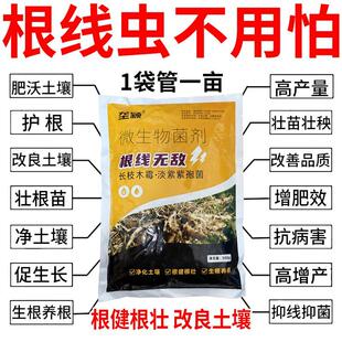 农用根结线虫专用剂淡紫紫孢菌根结根瘤除菌根线灵地下根通用菌剂