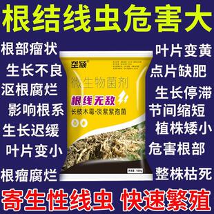 根结线虫专用根瘤病淡紫紫孢菌根线无敌西蓝花大棚冲施肥农用正品