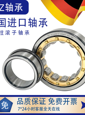 德国进口GEZ圆柱滚子轴承NUP230 232 234 236 238 240 244 248 EM