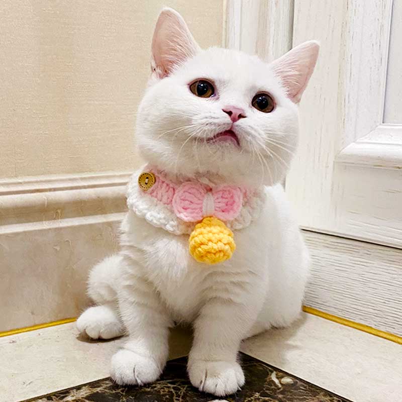 猫咪围脖装饰品可爱猫口水巾布偶小幼猫狗围兜宠物围巾编织猫项圈