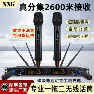 真分集一拖二无线专业充电无线话筒家用K歌舞台演出麦克风防啸叫