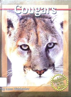 英语原版书野外捕食者系列美洲狮Cougars科普动物适读710岁美国卡普斯顿出版社出版作者安妮威尔斯巴赫撰写吉恩本塔达尔设计插