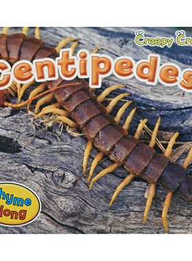 英语原版书令人毛骨悚然的爬行动物系列绘本Centipedes儿童科普读物丽贝卡里斯曼著迈克尔布莱特插图适合710岁孩子阅读的昆虫知