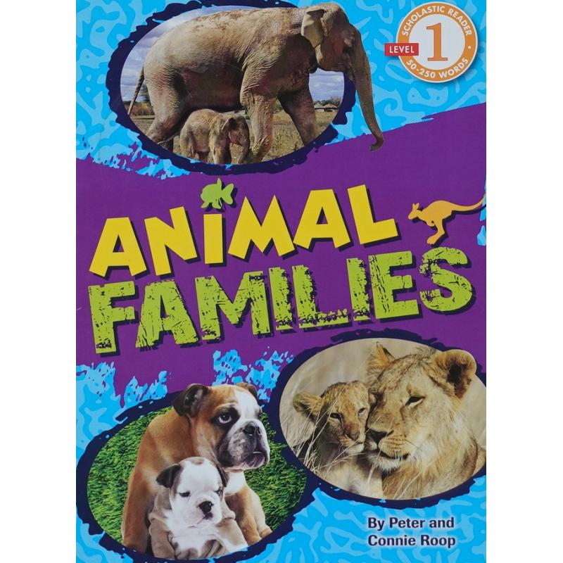 Animal Families by Peter and Connie Roop平装Scholastic动物家庭动物