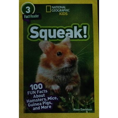 英文原版图书啮齿动物趣味科普