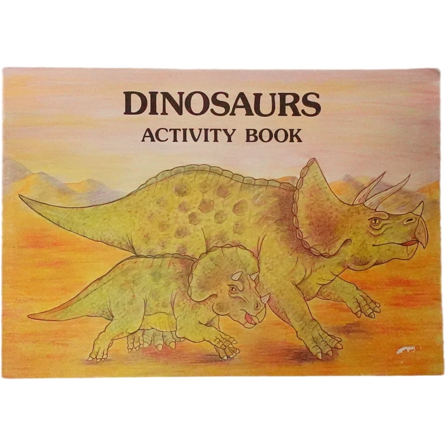 英文原版图书恐龙涂色活动书