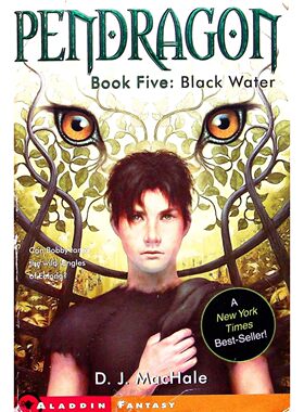 英语原版书潘德拉贡系列第五部BlackWater奇幻冒险小说适读710岁男童DJ麦克海尔作品阿拉丁平装版讲述主人公BobbyPendragon在Hal