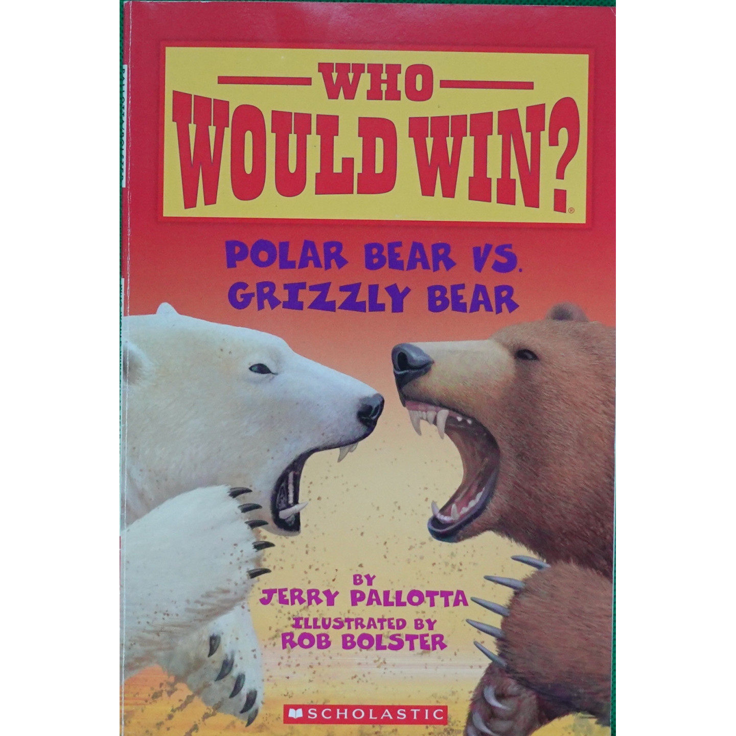 英文原版图书熊王对决科普绘本