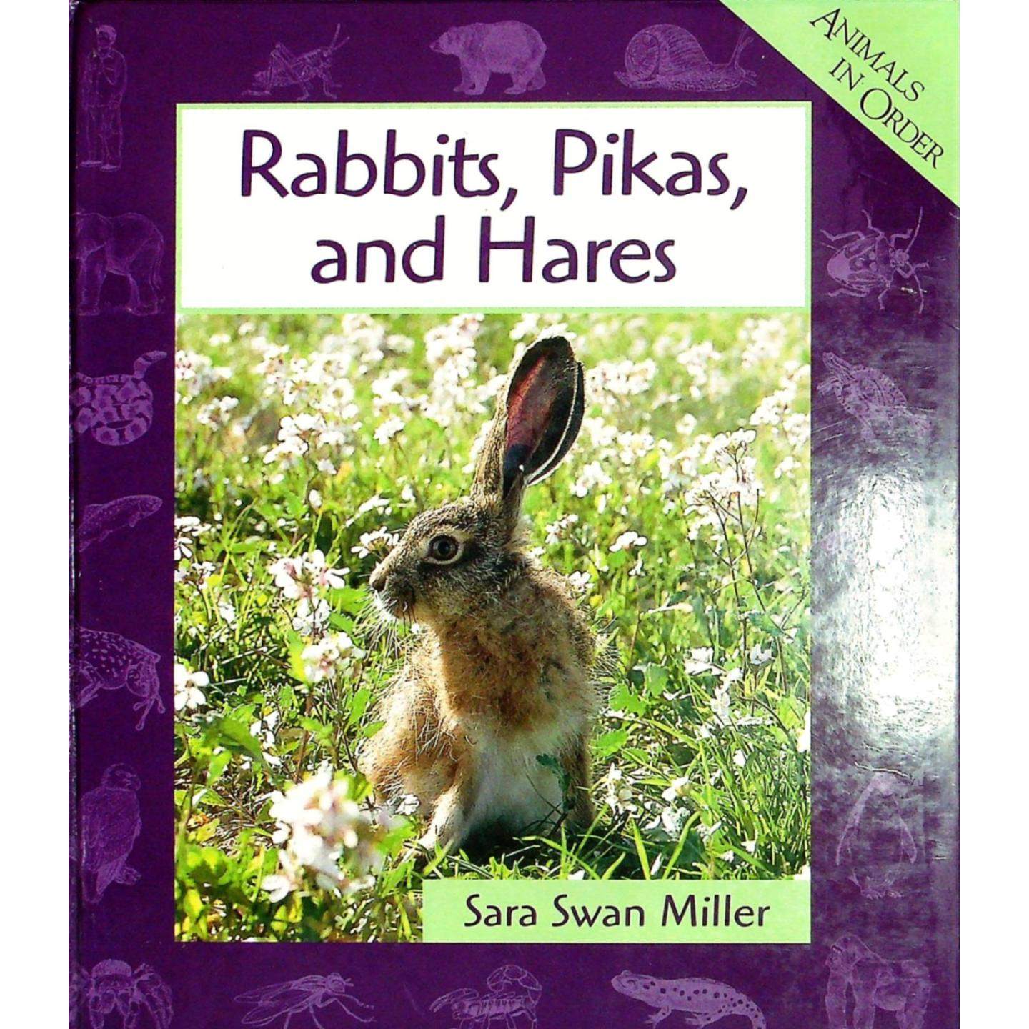 英语原版书按顺序排列的动物系列Rabbit科普绘本兔类鼠兔野兔适合710岁对动物和自然科学感兴趣的儿童阅读帮助他们了解兔形目动