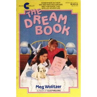 英语原版 书梦境之书章节书儿童文学幻想小说TheDreamBook梅格沃利策著适合710岁儿童阅读讲述两个女孩因共同梦境展开奇妙冒险