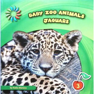 英语原版书21世纪基础技能图书馆系列美洲虎绘本书亲子共读凯蒂马尔西科著适合36岁儿童了解美洲虎习性培养阅读兴趣