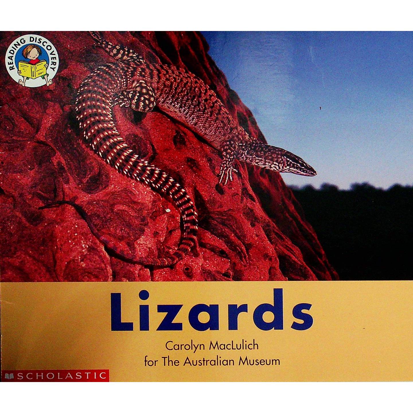 英文原版图书蜥蜴科普绘本