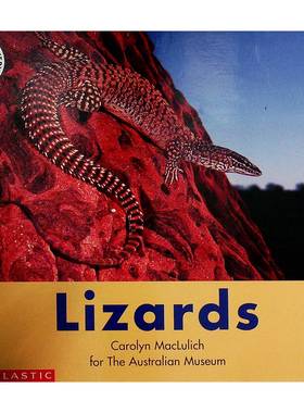 英语原版书阅读发现系列Lizards蜥蜴科普绘本适合710岁中小学生阅读由澳大利亚博物馆教育专家卡罗琳麦克卢利希和爬虫学家艾伦