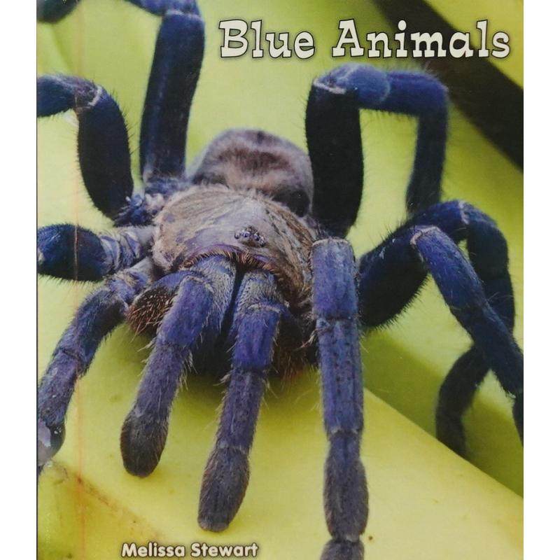 blue animals by melissa stewart精装enslow publishing llc蓝色动物