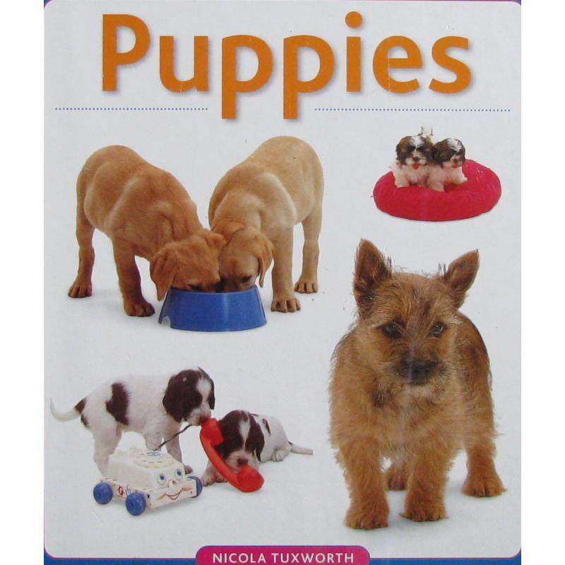 puppies (a very first picture book) by nicola tuxworth木板书