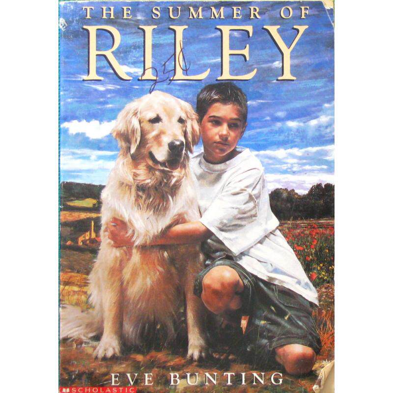 the summer of riley by eve bunting平装scholastic莱利的夏天