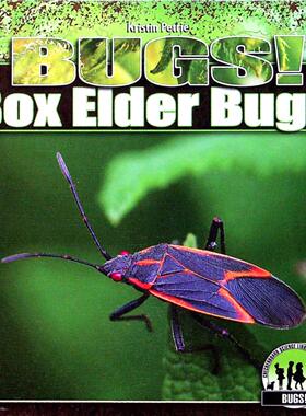 昆虫系列原版引进英语科普读物BoxElderBugs臭椿象适合小学生阅读的自然科学书籍彩色插图版克里斯汀佩特里著ABDO出版公司出版