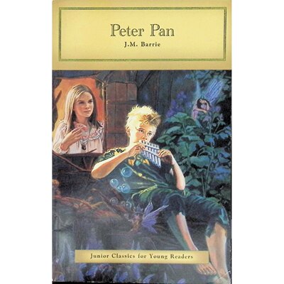 英文原版图书奇幻冒险经典绘本