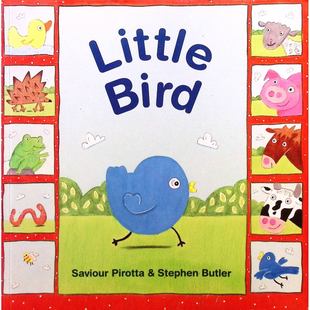 英语启蒙原版书LittleBird幼儿认知动物绘本小鸟英国作家萨维奥尔皮罗塔创作插画家斯蒂芬巴特勒绘制色彩鲜艳画风明快适合02岁