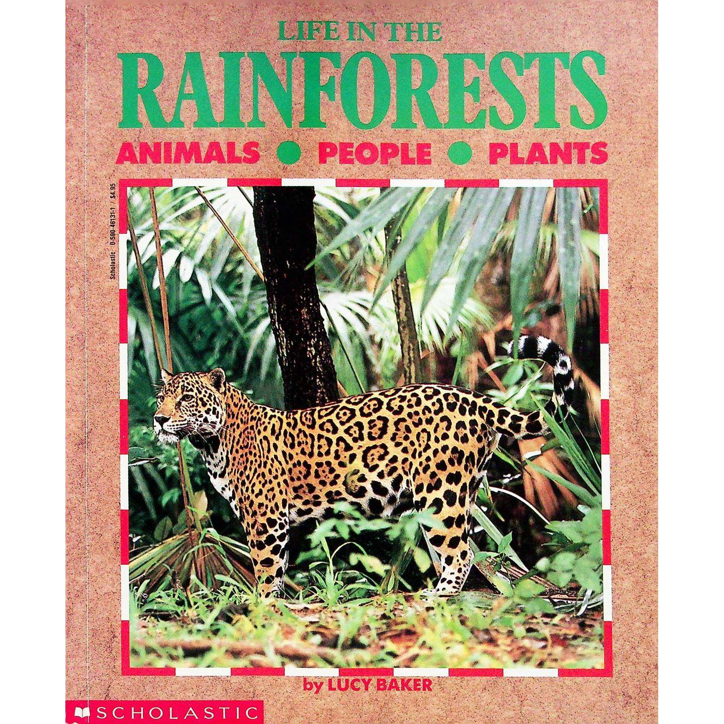 英语原版书生命系列雨林中的Life绘本自然科学适读儿童露西贝克著罗伊库姆斯绘学乐出版社出版生动展现热带雨林奇妙世界适合710